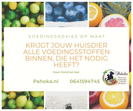 Belangrijke bijdrage voor hond en kat